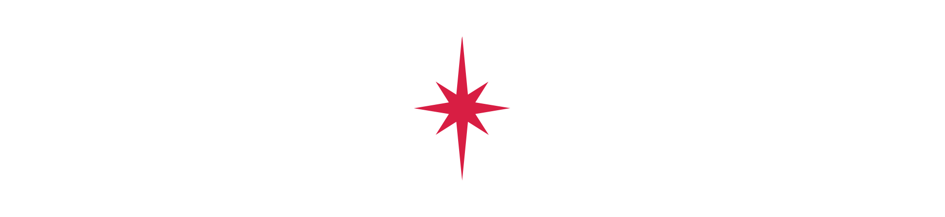 Stella Artois